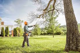 How Our Tree Care Process Works  in  Muncy, PA